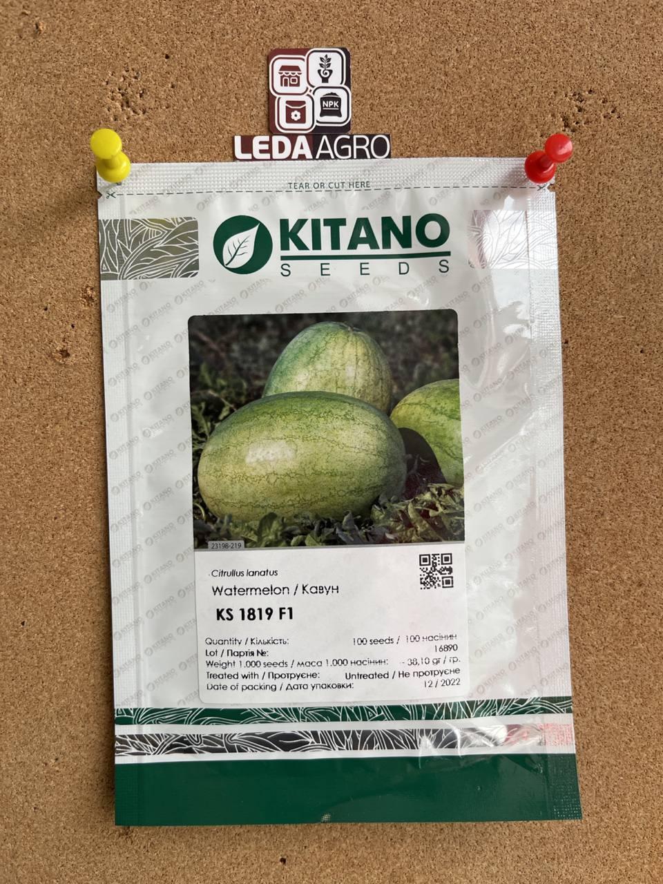 KS 1819 F1 100 шт Kitano Seeds Кавун Насіння (Кавун Насіння)