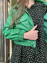 Комплект куртка + плаття Phardi 7275 38 Зелений з чорним