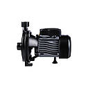 Насос поверхневий відцентровий Thermo Alliance CPm145/1 0,55 кВт, фото 3