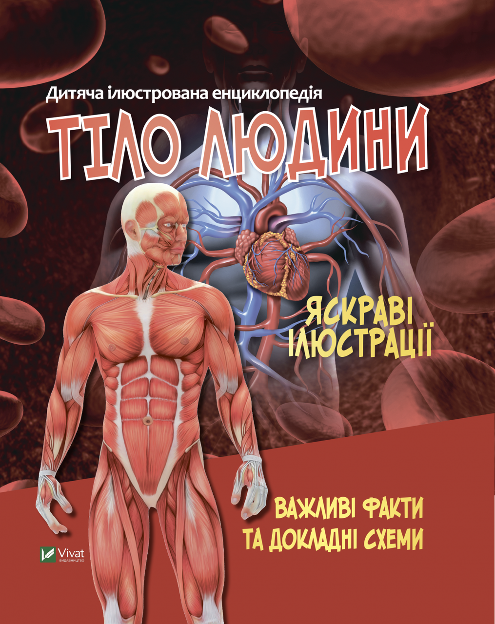 Тіло людини, фото 1