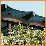 Затіняюча сітка AGRI 3х100м 65% для тіні Турецька, фото 9