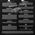 Twenty One Pilots — Vessel 2014/2016 Fueled By Ramen/EU Mint Вінілова пластинка (art.243591), фото 6