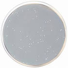 R2A агар Conda 500 г