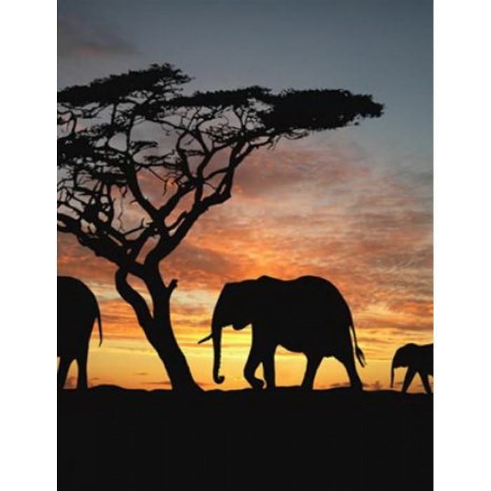 Картина за номерами 40х50 см DIY (без коробки) Африка (Y5413_O), фото 1