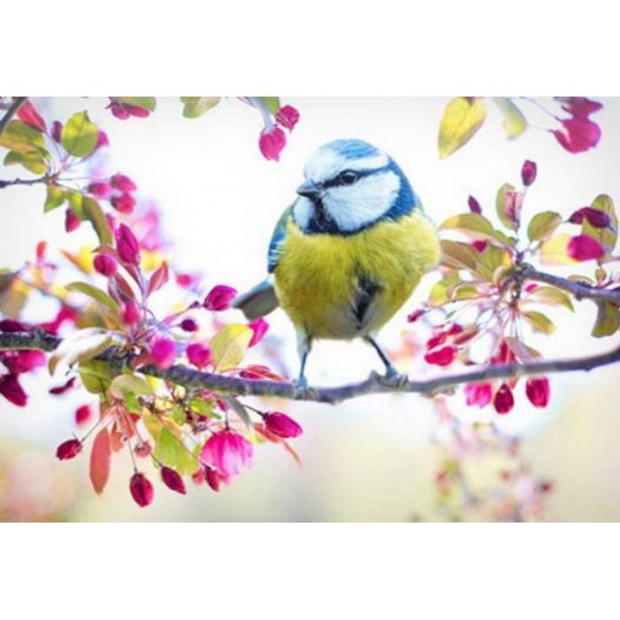 Картина за номерами 40х50 см DIY (без коробки) Синичка (Y5736_O), фото 1