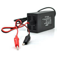 Популярний! Мережевий зарядний пристрій для АКБ Merlion YT-CH-12200 - Краща якість тільки на Nukleon.com.ua