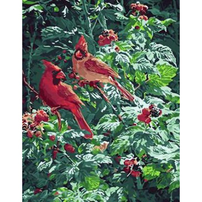 Картина за номерами 40х50 см DIY (без коробки) Пташки (RA5161_O), фото 1