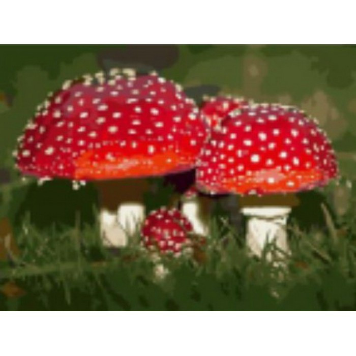 Картина за номерами 40х50 см DIY (без коробки) Мухомори (RA5481_O), фото 1