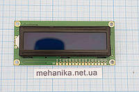 LCD 1602 символьный дисплей 16x2 (синий)