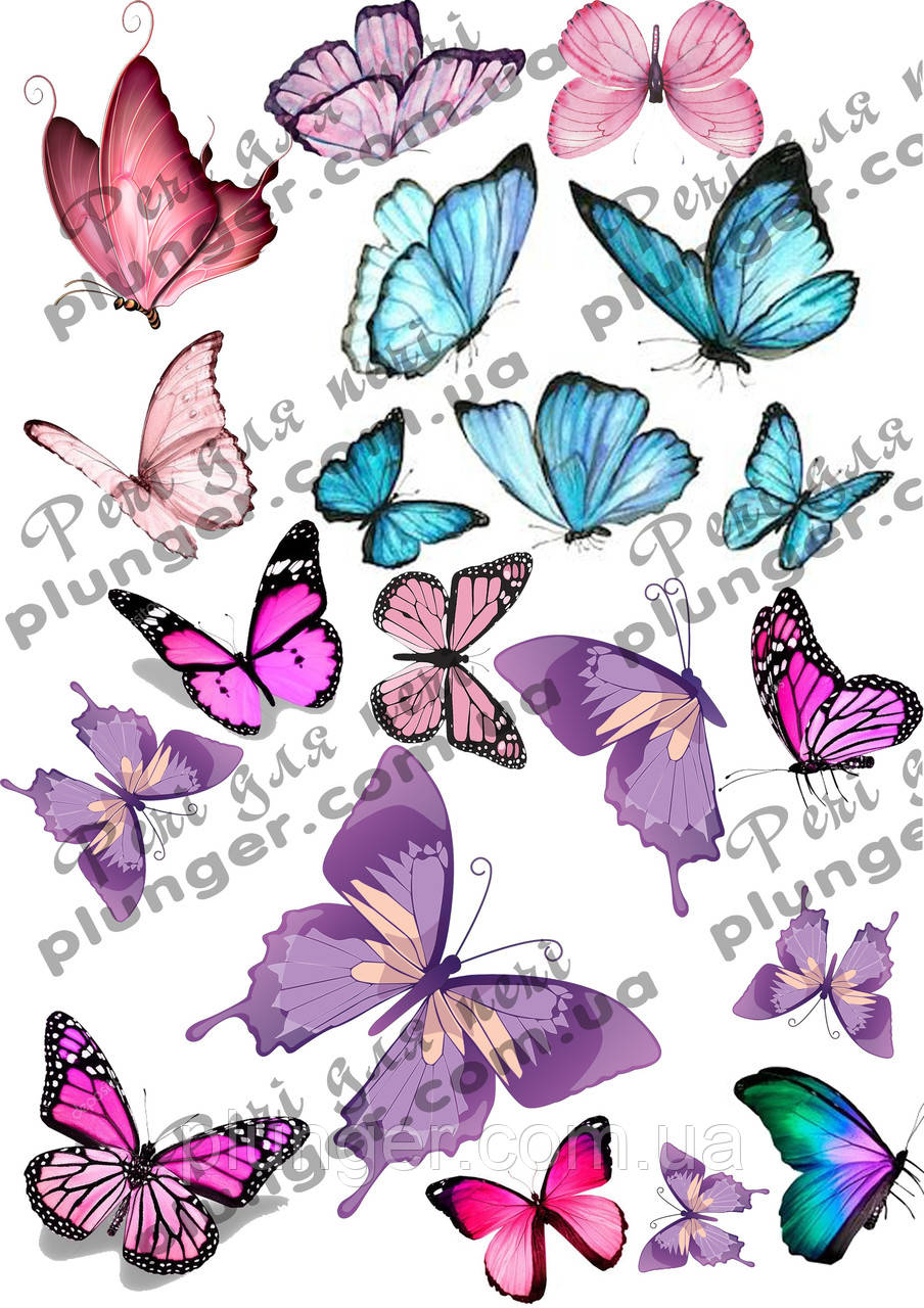 Вафельна картинка для кондитерських виробів, топерів, пряників, капкейків Метелики (листок А4) 23