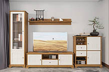 Тумба під телевізор Лана RTV170  530х1700х450мм   Гербор, фото 4