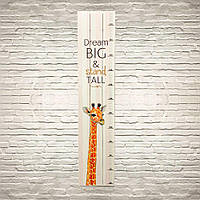 Ростомір дерев'яний Dream big&stand tall хррост0001а