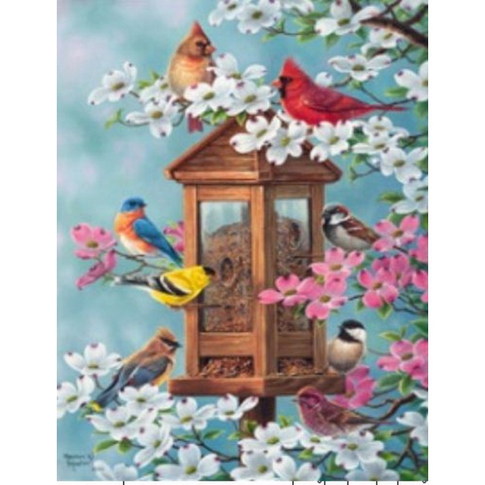 Картина за номерами 40х50 см DIY (без коробки) Пташки на годівниці (RSB8348_O), фото 1
