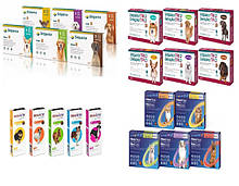 Сімпаріка, Бравекто, Нексгард