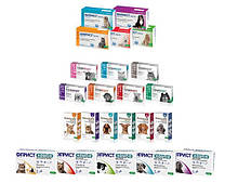 Селафорт, Прінокат, Фіприст