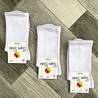Носки женские демисезонные хлопок Super Socks, арт 001, белые, размер 36-40, 001