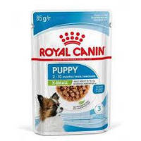 Корм влажный для щенков мини пород кусочки в соусе Royal Canin X-small Puppy 85г*12шт