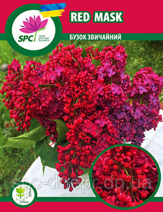 Бузок  Red Mask