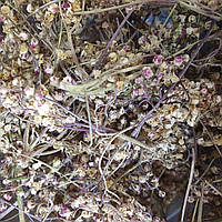1 кг Таволга/гадючник цвет сушеный (Свежий урожай) лат. Filipéndula