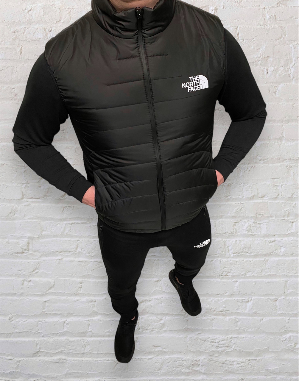 Безрукавка чоловіча The North Face