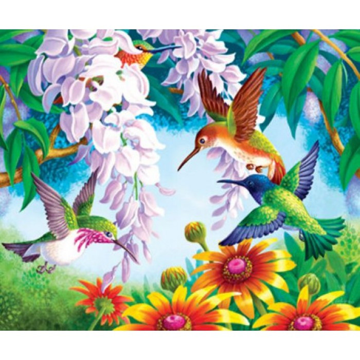 Картина за номерами 40х50 см DIY Колібрі (Y5462), фото 1