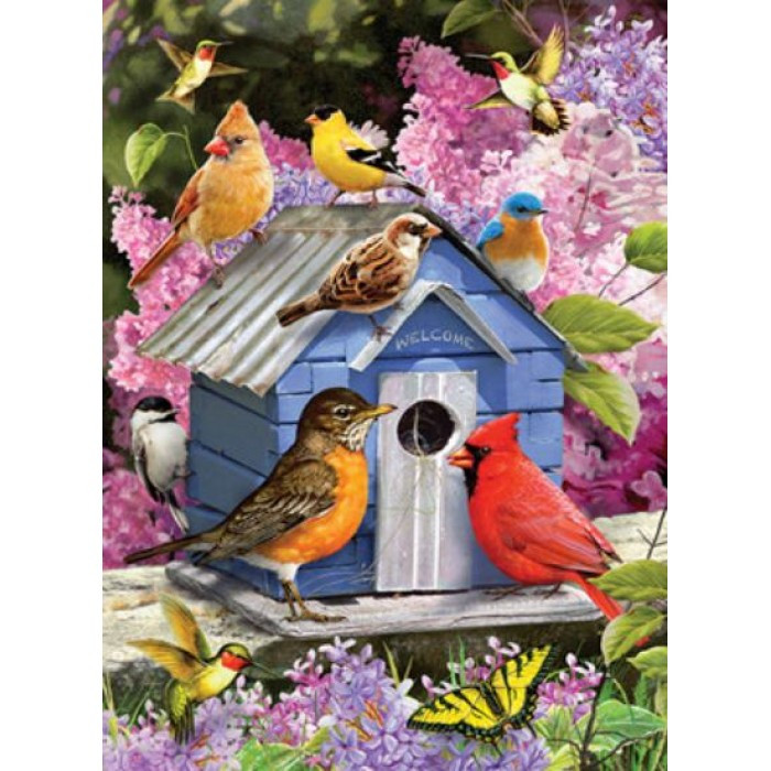 Картина за номерами 40х50 см DIY Пташки у шпаківника (Y5528), фото 1