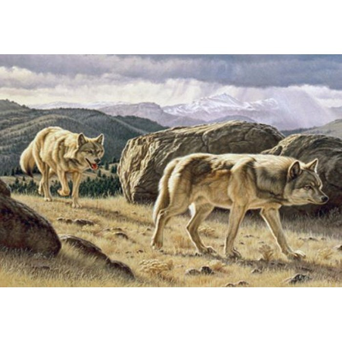 Картина за номерами 40х50 см DIY Вовки (Y5656), фото 1