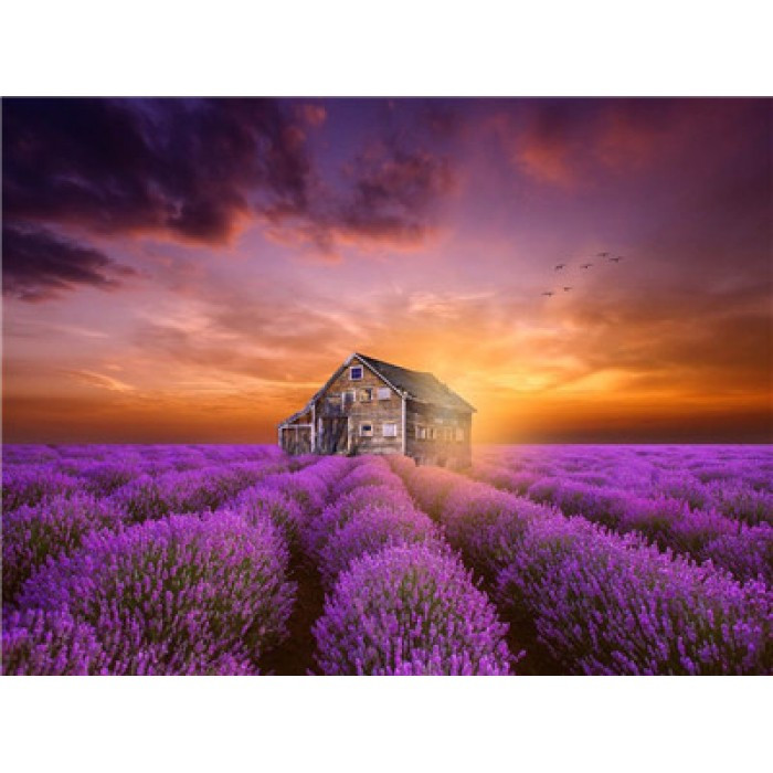 Картина за номерами 40х50 см DIY Лавандове поле (Y5757), фото 1