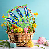 Драже Nerds Rope Easter  90g, фото 4
