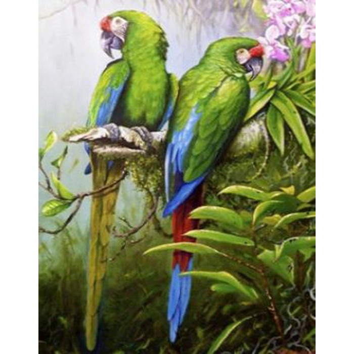 Картина за номерами 40х50 см DIY Папуги (Y5888), фото 1