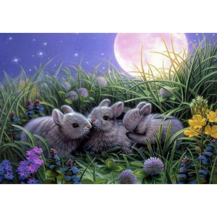 Картина за номерами 40х50 см DIY Крихітка (RA3135), фото 1