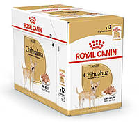 Royal Canin Chihuahua Adult Вологий корм для собак породи Чіхуахуа старше 8 місяців 12шт*100г