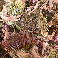 1 кг Эхинацея пурпурная цвет сушеный (Свежий урожай) лат. Echinácea purpúrea