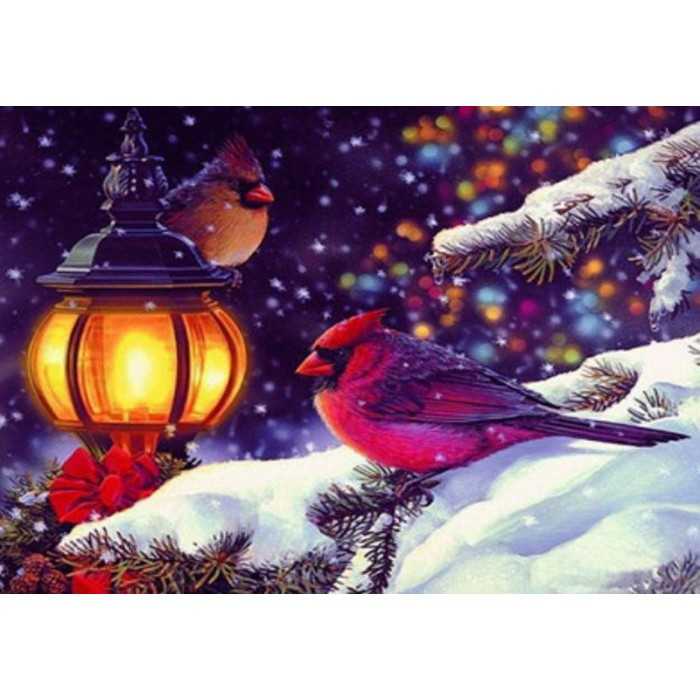 Картина за номерами 40х50 см DIY Снігії (RA3423), фото 1