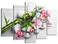 Декоративні модульні картини, стильна модульна картина, картини з частин, картини на кухню Рожева орхідея 80x125 см, модульні