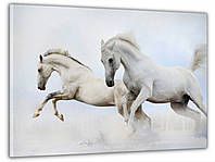 Фотокартина на холсте, интерьерные картины Белые кони 60x100 см, декор для интерьера салона