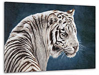Картина на стену, картины для дома Белый тигр 60x100 см, декор для гостиной, декор для комнаты
