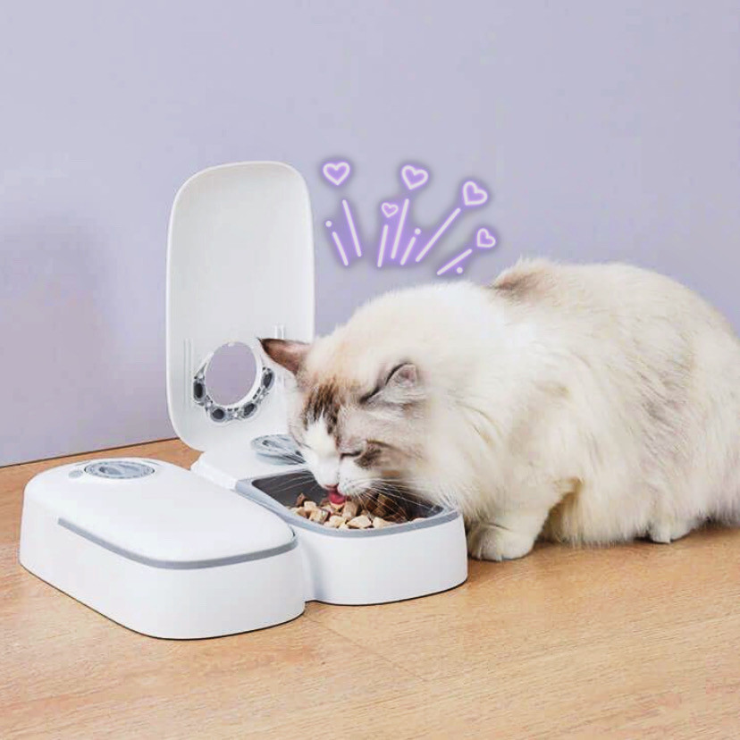 Автоматична годівниця для тварин Pets Joy комплект 2 шт. по 600 мл з таймером і нековзними ніжками