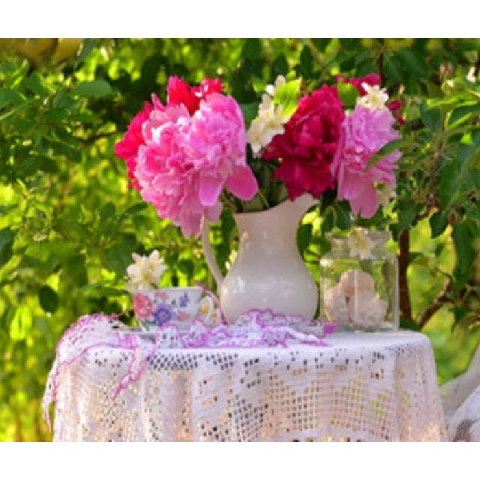 Картина за номерами 40х50 см DIY Півонії в саду (RSB8128), фото 1