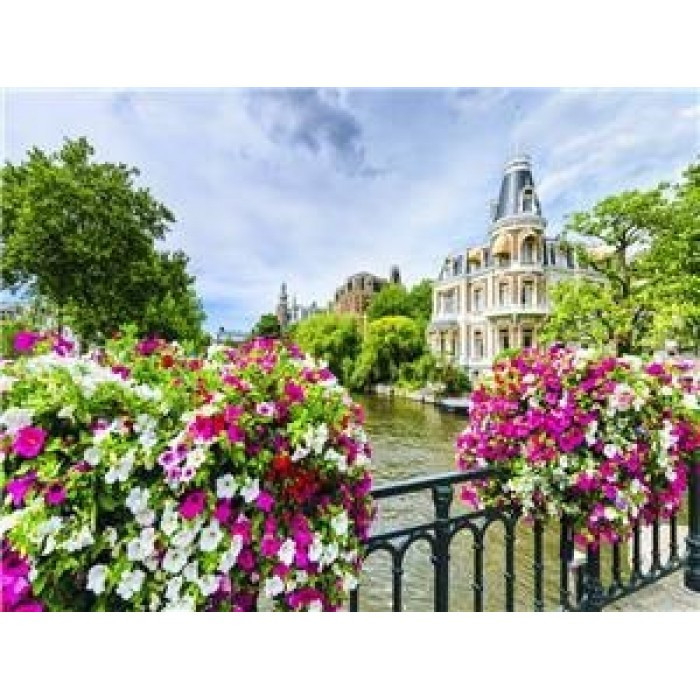 Картина за номерами 40х50 см DIY Квіти (RSB8412), фото 1