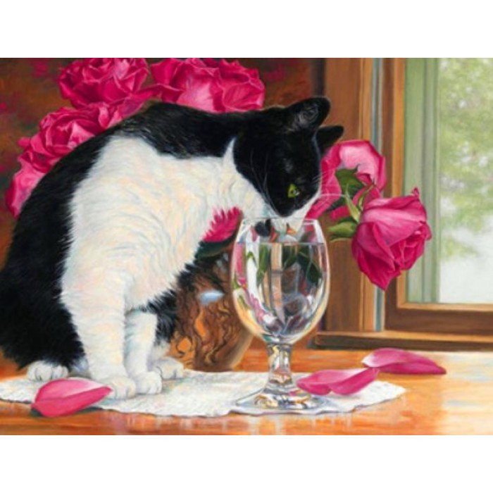 Картини по номерам 40х50 см DIY Спрага (RA3445)