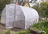 Теплиця "Косиця" 4 х 6 м, (труба оцинкована 20х20 мм.), повний комплект "Преміум", плівка UV-4, 120 мкм., фото 10
