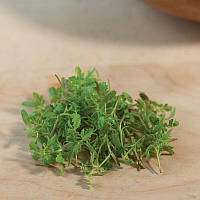 Насіння Календула мікс мікрогрін/бебі/харчові квіти 10 г