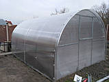Теплиця "Косиця" 4 х 6 м, (труба оцинкована 20х20 мм.), повний комплект "Преміум", плівка UV-4, 120 мкм., фото 5