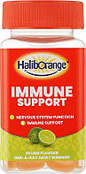 Комплекс для поддержки иммунитета для взрослых - Haliborange Adult Immune Support (966586)