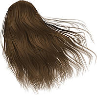 Лечебная краска для волос "100% Натуральная" Chandi Светло коричневый (442609)