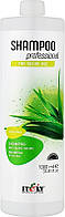 Увлажняющий шампунь для сухих волос - Itely Hairfashion Shampoo Professional Aloe Vera 1000ml (963318)