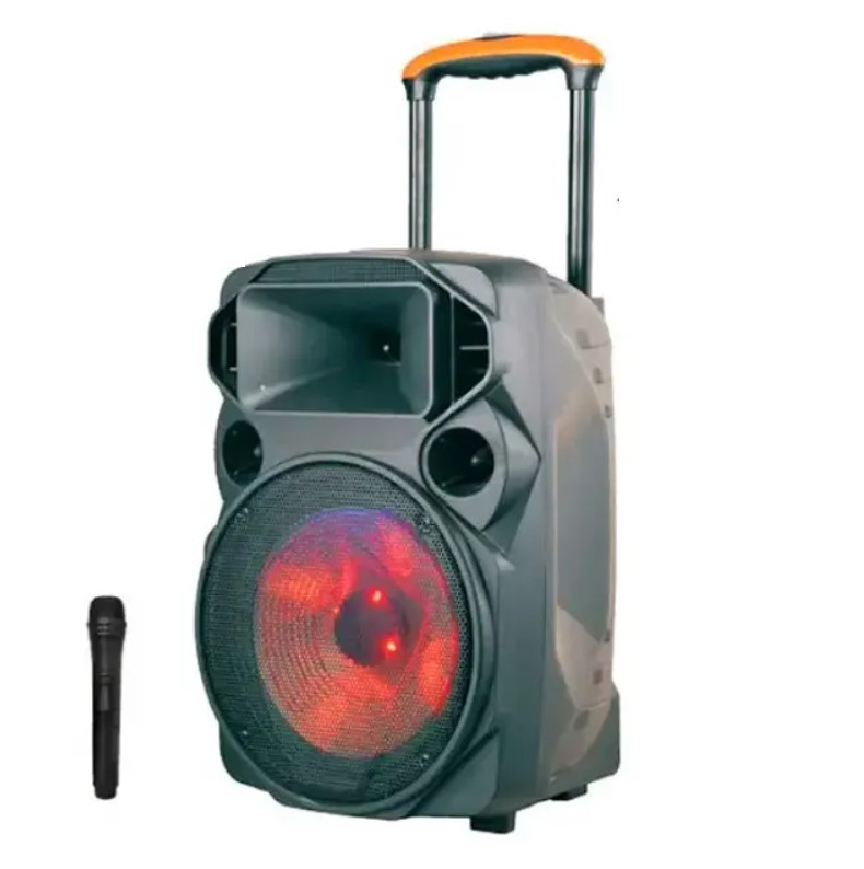 Акустична акумуляторна ZXX-1209 колонка 12 дюймів з мікрофоном (USB/FM/BT/LED) 150 Вт