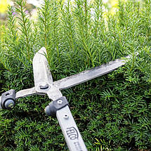 Ножиці для кущів Felco / Фелко 250-57 (Швейцарія), фото 5