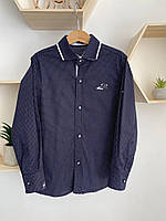 Рубашка для мальчика в горошек Blueland, Тёмно-Синий, Мальчик, Весна Осень, 116 см